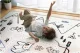 Divpusējs sarullējams bērnu paklājs Nukido NK-342 | Kids Roll-up Foam Mat