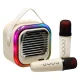 Karaoke komplekts ar skaļruni un 2 mikrofoniem, Bluetooth USB LED 10W, krēmkrāsas