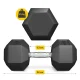 4FIZJO HEX tērauda heksagonālā hantele 25 kg, melna