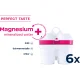 BWT 125681749 atkārtoti uzpildāmas ūdens filtra kasetnes Magnesium Mineralizer, 6 gab., balts