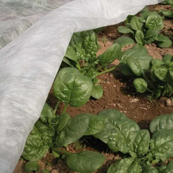 Agroplēve ORTOCLIMA PLUS 30 g/m2, 2.40 x 5 m, balta
