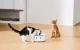 Catlink F03 Standard viedā barotava kaķiem ar RFID