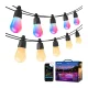 Viedā āra LED lampiņu virtene Lepro ZB1-15 Wi-Fi RGB+IC, 15 m