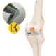 4FIZJO ceļa locītavas anatomiskais modelis 1:1 mērogā ar statīvu