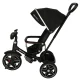 Ikonka TRIKE FIX Elite 2-in-1 trīsritenis / ratiņi, melns