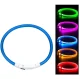LED RGB spīdoša apkakle suņiem un kaķiem, izmērs L (līdz 70 cm)