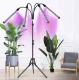 80 LED Fito Lampa Gaisma uz Statīva Augu Stādu Audzēšanai Dārzkopībai Gardlov | Plant Growth Gardening Lamp