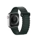 Dux Ducis Armor Strap silikona magnētiskā siksniņa Apple Watch 42/44/45/49 mm, zaļa