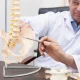 4FIZJO cilvēka mugurkaula un iegurņa anatomiskais modelis 1:1