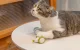 Cheerble Wicked Mouse Interaktīvā Gudrā Ripulis Spēļmanta Mājdzivniekiem Sunim Kaķim, Zaļš | Smart Sensor Play...
