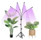 80 LED Fito Lampa Gaisma uz Statīva Augu Stādu Audzēšanai Dārzkopībai Gardlov | Plant Growth Gardening Lamp