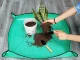 Liels Ziedu Stādu Pārstādīšanas Paklājs | Large Plant Flower Transplanting Mat