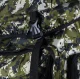 Liels tūrisma un militārā stila mugursoma, 70 L