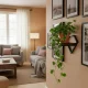 Sienas puķu plaukts ModernHome dimanta formas plaukts augiem loft stilā