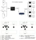 HDMI signāla pagarinātājs pa Cat5e/Cat6 līdz 200m 1080P