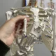 Cilvēka skeleta anatomiskais modelis 170 cm, uz statīva | Anatomical model of the human skeleton