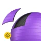4Fizjo 1760 vingrošanas bumba 85 cm, violeta