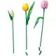 LEGO Botanicals 11501 Tulip Bouquet tulpju pušķis