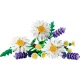 LEGO Botanicals 11508 Margrietiņas (Daisies)