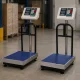 Elektroniskie platformas svari 50x40 cm, 300 kg, sudraba/zila