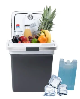 Longwell Industrial Ltd G-451 pārnēsājams auto ledusskapis 29L, dzesēšana un apsilde, grafīta