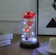Mūžīgā roze stikla kupolā ar RGB LED apgaismojumu un figūriņu