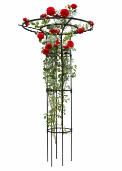 Vertikāla dārza pergola / ziedu statīvs U14D, 215 cm
