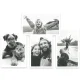 Easypix InstantFUN momentfoto kamera balta