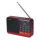 Setty mini FM radio un Bluetooth skaļrunis SFM-01M