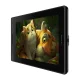 Grafiskā planšete Huion Kamvas Pro 13 GT133 ar ekrānu un irbuli