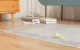 Cheerble Wicked Mouse Interaktīvā Gudrā Ripulis Spēļmanta Mājdzivniekiem Sunim Kaķim, Zaļš | Smart Sensor Play...