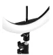 Glow 10\" RGB LED gredzenveida lampa ar statīvu, 10W