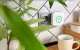 Dabasgāzes sensors Shelly Gas CNG WiFi