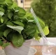 Automātiska Lejkanna Dozators Bumba Apūdeņošanas Bumbas Ziedu un Augu Laistīšanai, 8 gab. l Automatic irrigation...