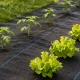 Multigarden Melns Agroplēves Pretzāļu Paklājs 90g/m² 1.1x50m ar Tapām