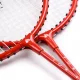 METEOR MOTION 2 Portatīvs Badmintona Komplekts ar Uzglabāšanas Somu | Portable Badminton Set