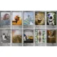 Fujifilm instax mini fotopapīrs Stone Grey (10 gab.)