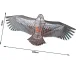 Lidojošais Pūķis Ērglis, 200cm | Flying Kite Eagle