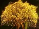 LED gaismas tīkls 100 LED 1x2m silti balts