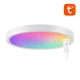 Viedais griestu gaismeklis Gosund LB12, 30 cm, WiFi/Bluetooth, RGBCW, ar tālvadības pulti