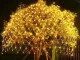 LED gaismas tīkls 100 LED 1x2m silti balts