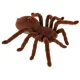 Tālvadības tarantuls, RC pająk, brūns