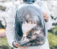 Salokāms Dzīvnieku Ceļošanas Mugursoma Koferis, 28-68x32x42cm, Melns | Pet Cat Dog Travel Backpack