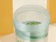 Bērnu ūdens pudele 500 ml skolai un bērnudārzam, zaļa