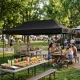 Automātiskais dārza paviljons MultiGarden 3x6m telts, melns