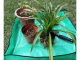 Liels Ziedu Stādu Pārstādīšanas Paklājs | Large Plant Flower Transplanting Mat