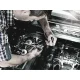 Wera 8767 C TORX HF 2 Zyklop TORX galviņu ar uzgaļiem komplekts ar fiksācijas funkciju, 6 gab.