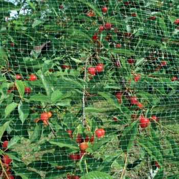 Putnu aizsargtīkls TENAX ORTOFLEX 4x10m, acs 10x12mm, zaļš