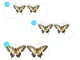 Brilles palielināmās ar maināmām lēcām 1.5x 2.5x 3.5x
