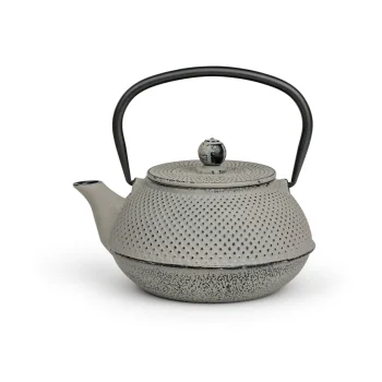 Bredemeijer Jang čuguna tējkanna ar filtru 0.8L 153022, pelēka